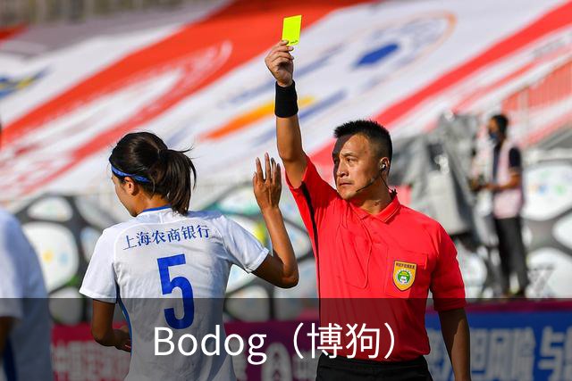 Bodog（博狗）公司介绍图片